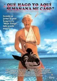 Особенности холостяцкой вечеринки / Staggered 1994 скачать через торрент в хорошем качестве