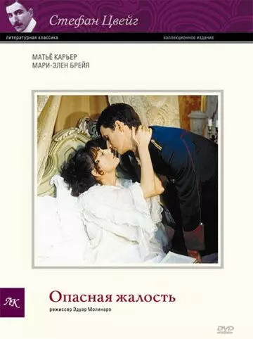 Опасная жалость / La pitié dangereuse 1979 скачать через торрент в хорошем качестве