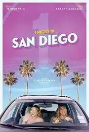 Одна ночь в Сан-Диего / 1 Night in San Diego 2020 скачать через торрент в хорошем качестве