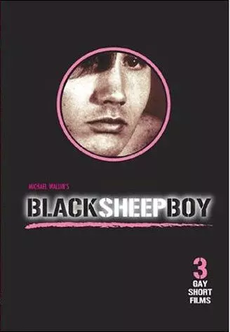 Паршивые Овечки / Black Sheep Boy 1995 скачать через торрент в хорошем качестве