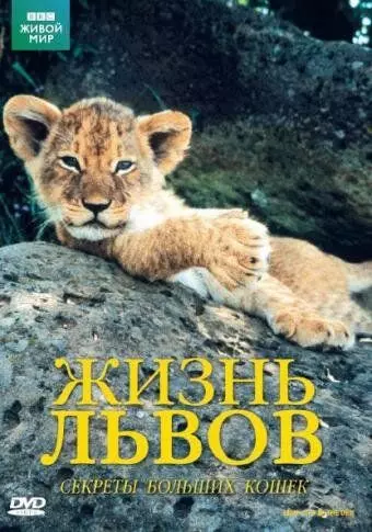 BBC: Жизнь львов / Lions: Spy in the Den 2000 скачать через торрент в хорошем качестве