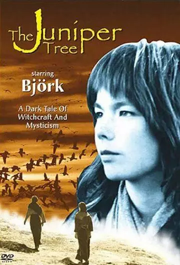 Можжевеловое дерево / The Juniper Tree 1990 скачать через торрент в хорошем качестве
