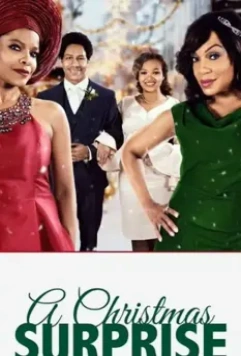 Сюрприз на Рождество / A Christmas Surprise 2020 скачать через торрент в хорошем качестве