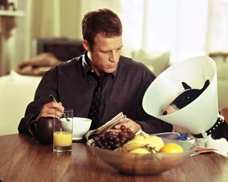 Кин Эдди 2003 скачать торрентом Кин Эдди 2003 скачать торрентом