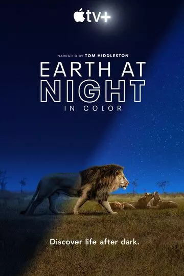 Земля ночью в цвете / Earth at Night in Color 2020 скачать через торрент в хорошем качестве