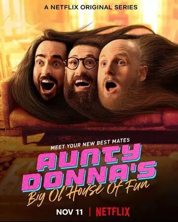 Весёлый дом Тётушки Донны / Aunty Donna's Big Ol' House of Fun 2020 скачать через торрент в хорошем качестве