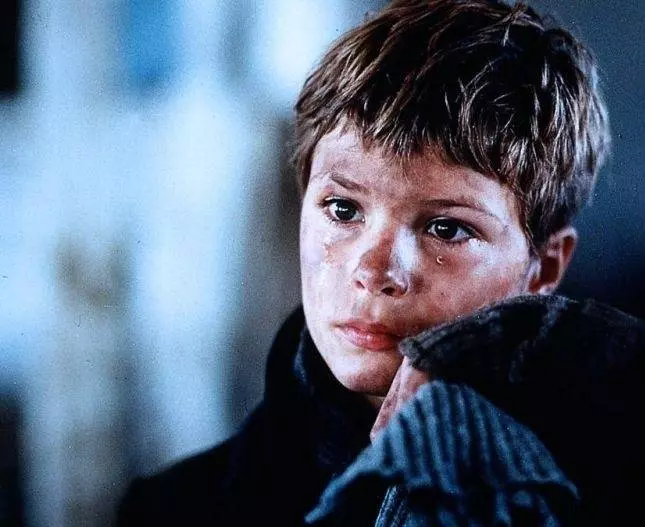 Пелле-завоеватель 1987 скачать с торрента Пелле-завоеватель 1987 скачать с торрента