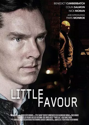 Небольшое одолжение / Little Favour 2013 скачать через торрент в хорошем качестве