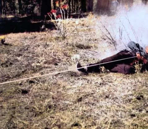 Бравадос 1958 скачать через торрент бесплатно Бравадос 1958 скачать через торрент бесплатно