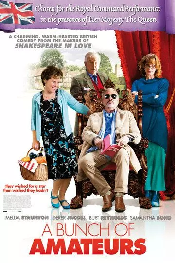 Сборище любителей / A Bunch of Amateurs 2008 скачать через торрент в хорошем качестве