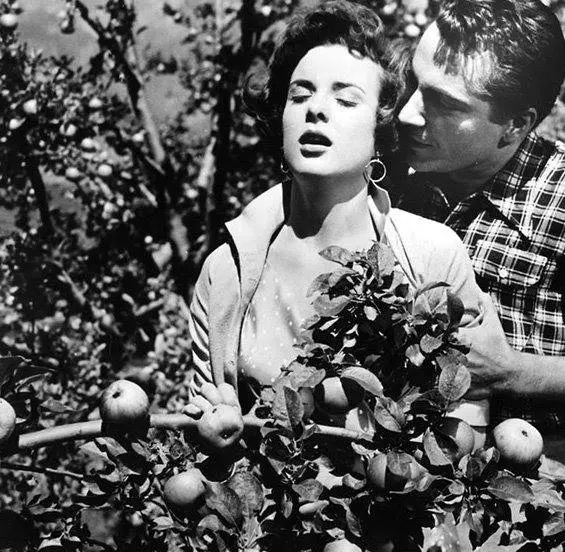 Три монеты в фонтане 1954 скачать с торрента Три монеты в фонтане 1954 скачать с торрента