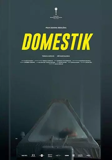 Домашний режим / Domestik 2018 скачать через торрент в хорошем качестве