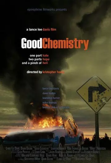 Хорошая химия / Good Chemistry 2008 скачать через торрент в хорошем качестве