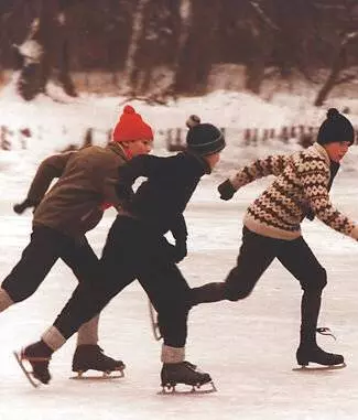 Древо познания 1981 скачать с торрента Древо познания 1981 скачать с торрента