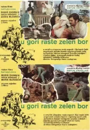 Назови пароль! / U gori raste zelen bor 1971 скачать через торрент в хорошем качестве