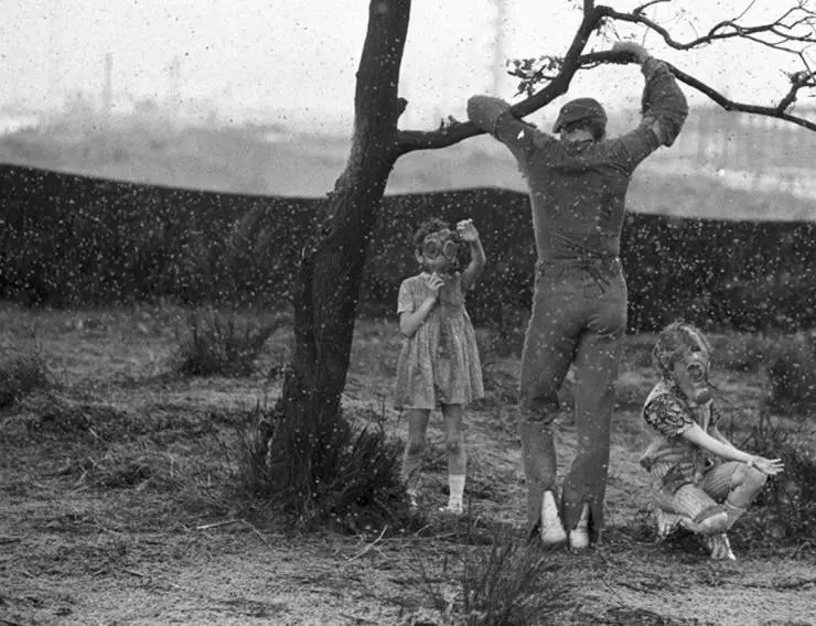 Поторопись, пока не вернулась жена 1975 скачать с торрента Поторопись, пока не вернулась жена 1975 скачать с торрента