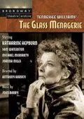 Стеклянный зверинец / The Glass Menagerie 1973 скачать через торрент в хорошем качестве