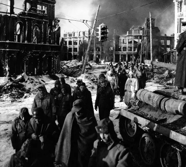 Собаки, хотите жить вечно? 1959 скачать через торрент бесплатно Собаки, хотите жить вечно? 1959 скачать через торрент бесплатно