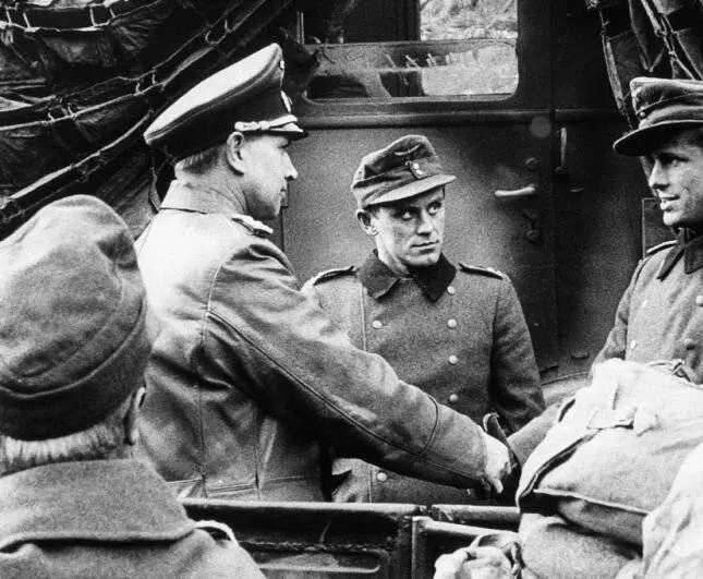 Собаки, хотите жить вечно? 1959 скачать торрентом Собаки, хотите жить вечно? 1959 скачать торрентом