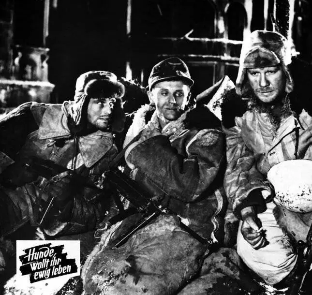 Собаки, хотите жить вечно? 1959 скачать с торрента Собаки, хотите жить вечно? 1959 скачать с торрента