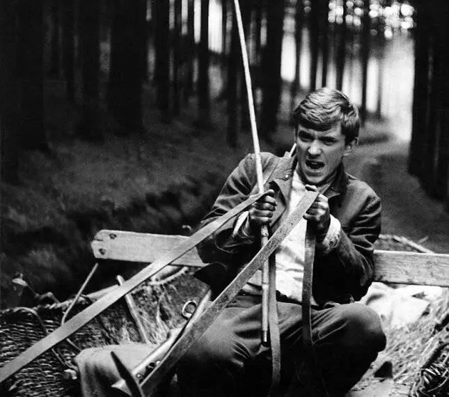 Повозка в Вену 1966 скачать через торрент бесплатно Повозка в Вену 1966 скачать через торрент бесплатно