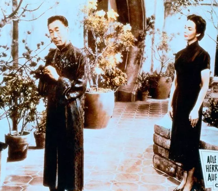 Любовь — самая великолепная вещь на свете 1955 скачать с торрента Любовь — самая великолепная вещь на свете 1955 скачать с торрента