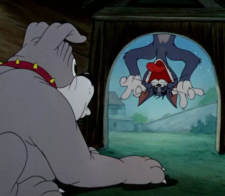 Шумная серенада 1946 скачать торрентом Шумная серенада 1946 скачать торрентом