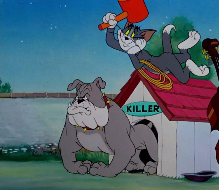 Шумная серенада 1946 скачать через торрент бесплатно Шумная серенада 1946 скачать через торрент бесплатно