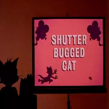 Кот скрытой камерой / Shutter Bugged Cat 1967 скачать через торрент в хорошем качестве
