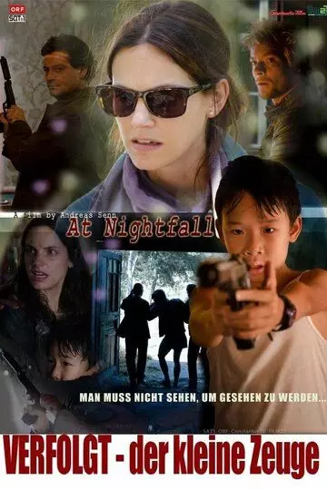 Преследуемый маленький свидетель / Verfolgt - Der kleine Zeuge 2012 скачать через торрент в хорошем качестве