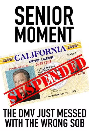 Старший момент / Senior Moment 2021 скачать через торрент в хорошем качестве