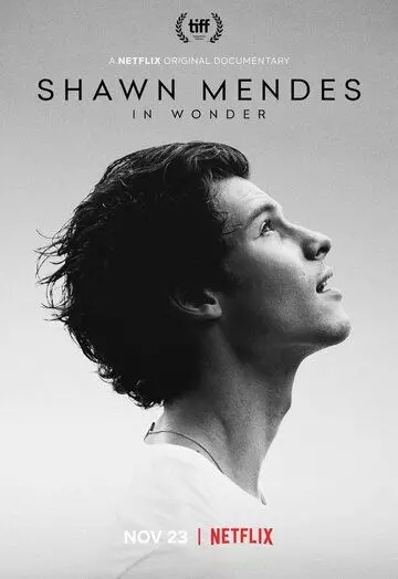 Шон Мендес: In Wonder / Shawn Mendes: In Wonder 2020 скачать через торрент в хорошем качестве