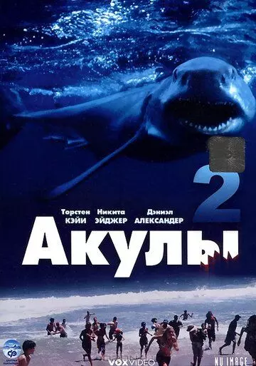 Акулы 2 / Shark Attack 2 2000 скачать через торрент в хорошем качестве