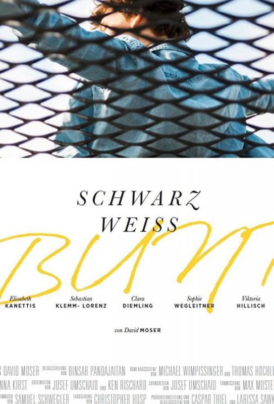 Schwarz Weiss Bunt