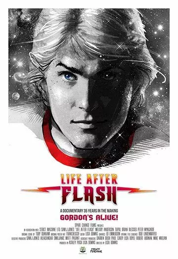 Жизнь после Флэша / Life After Flash 2017 скачать через торрент в хорошем качестве