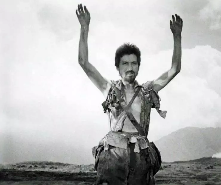 Полевые огни 1959 скачать через торрент бесплатно Полевые огни 1959 скачать через торрент бесплатно