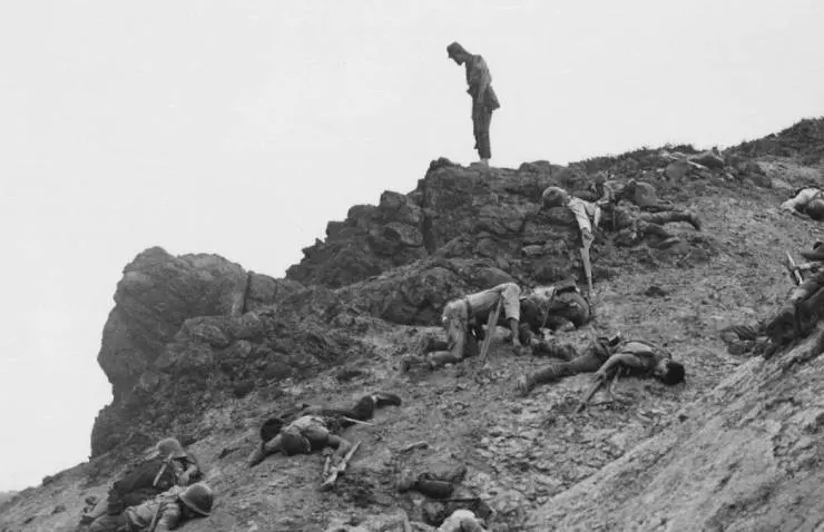 Полевые огни 1959 скачать торрентом Полевые огни 1959 скачать торрентом