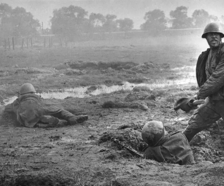 Сердце друга 1966 скачать с торрента Сердце друга 1966 скачать с торрента