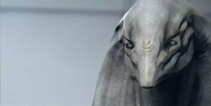 Ра 2013 скачать с торрента Ра 2013 скачать с торрента