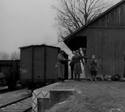 Выстрел из милосердия 1976 скачать торрентом Выстрел из милосердия 1976 скачать торрентом