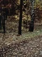 Мнения сторон 2001 скачать торрентом Мнения сторон 2001 скачать торрентом