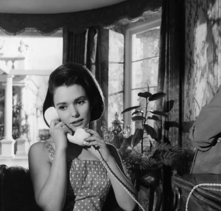 Вкус страха 1961 скачать с торрента Вкус страха 1961 скачать с торрента