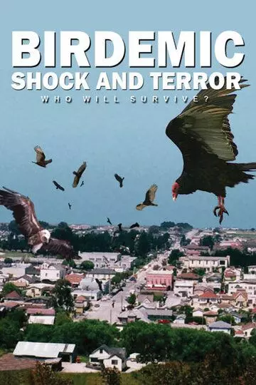 Птицекалипсис: Шок и трепет / Birdemic 1: Shock and Terror 2010 скачать через торрент в хорошем качестве