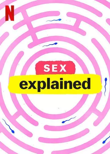 Чтобы вы поняли... секс / Sex, Explained 2020 скачать через торрент в хорошем качестве