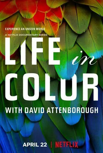 Жизнь в цвете с Дэвидом Аттенборо / Life in Colour 2021 скачать через торрент в хорошем качестве