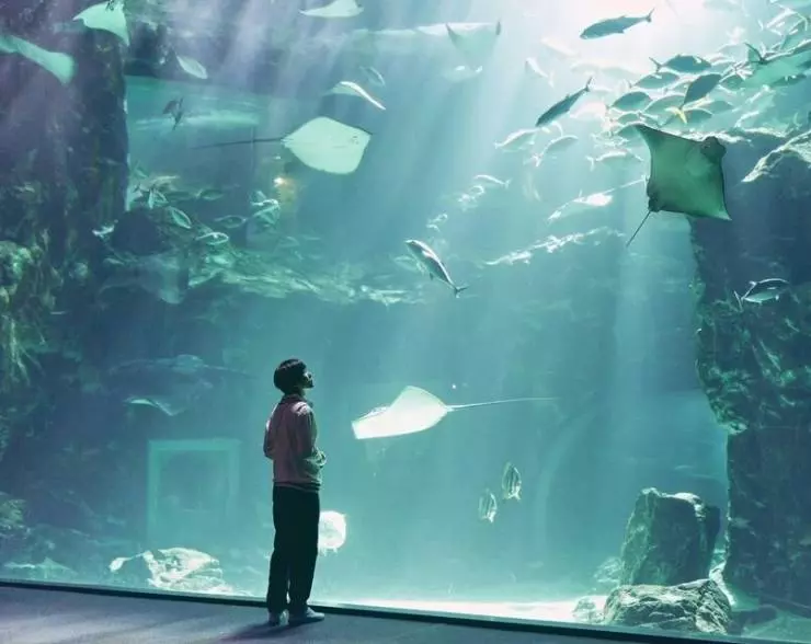 На пути к небесам 2021 скачать с торрента На пути к небесам 2021 скачать с торрента