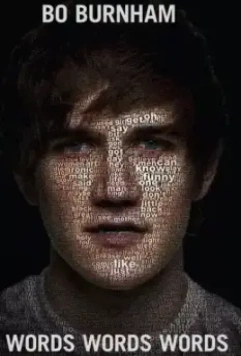 Бо Бёрнэм: Слова, слова, слова / Bo Burnham: Words, Words, Words 2010 скачать через торрент в хорошем качестве