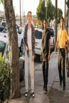 Тропа 2019 скачать через торрент бесплатно Тропа 2019 скачать через торрент бесплатно