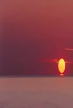 София-Антиполис 2018 скачать торрентом София-Антиполис 2018 скачать торрентом