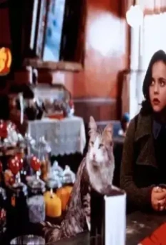 Эта дикая кошка 1997 скачать через торрент бесплатно Эта дикая кошка 1997 скачать через торрент бесплатно